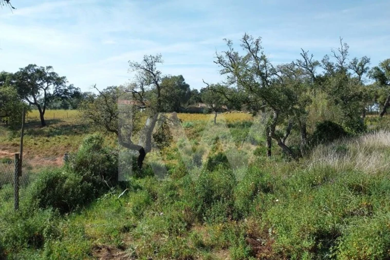 Quinta T3 para Venda em Melides Foto 15