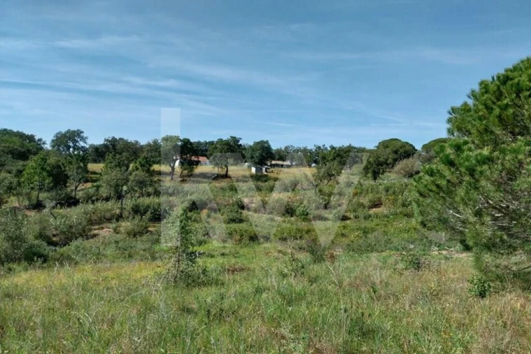 Quinta T3 para Venda em Melides Foto 21