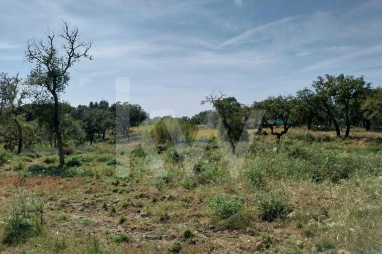 Quinta T3 para Venda em Melides Foto 11