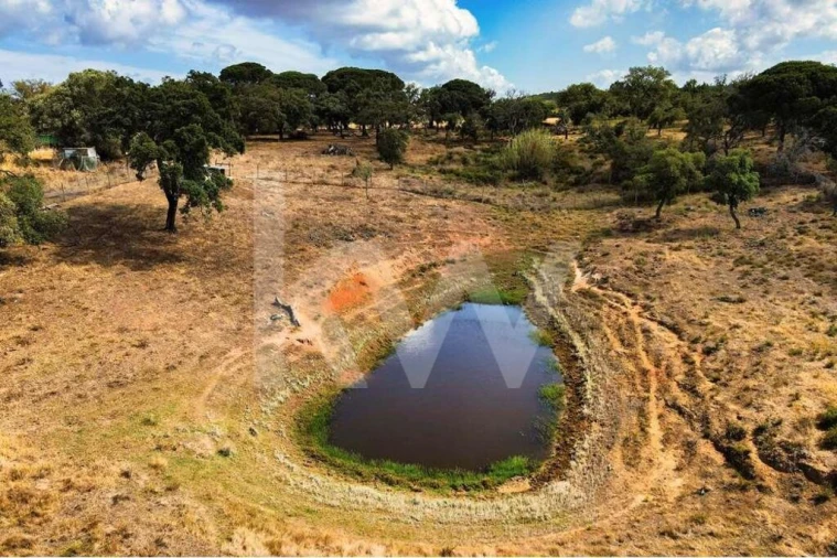 Quinta T3 para Venda em Melides Foto 18