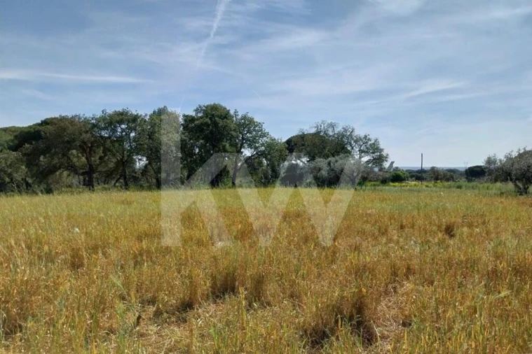Quinta T3 para Venda em Melides Foto 6