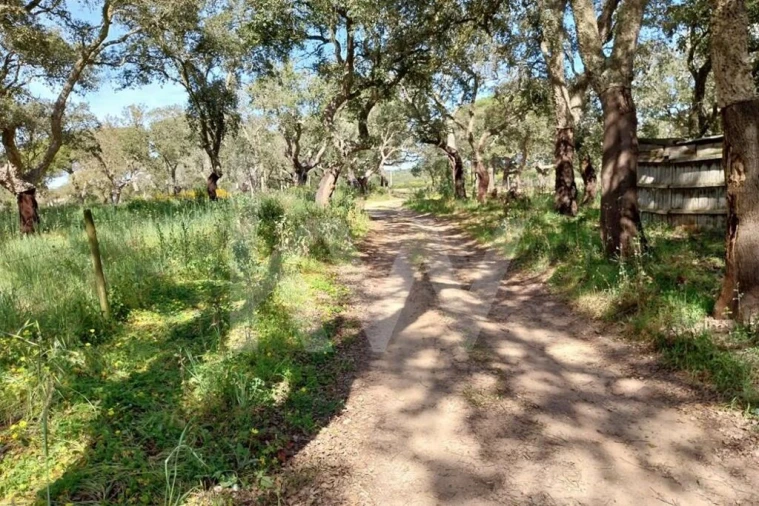 Quinta T3 para Venda em Melides Foto 7