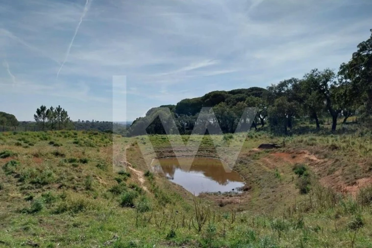 Quinta T3 para Venda em Melides Foto 16