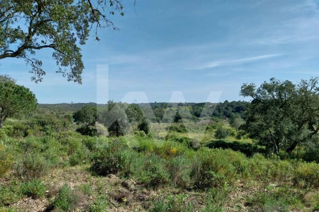 Quinta T3 para Venda em Melides Foto 13