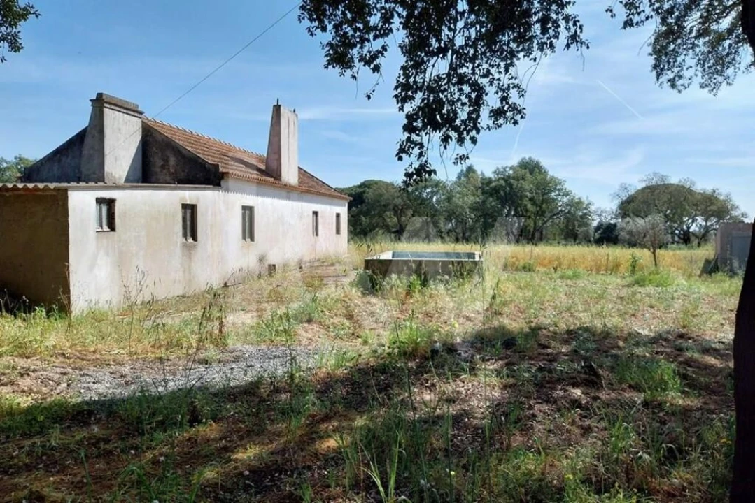 Quinta T3 para Venda em Melides Foto 5