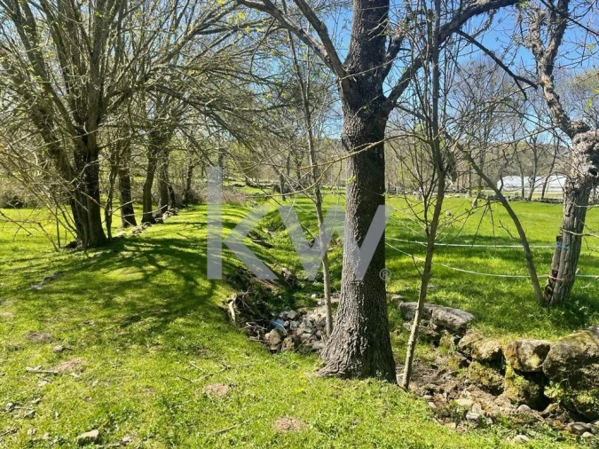 Quinta T5 para Venda em Amoreira, Parada e Cabreira Foto 3