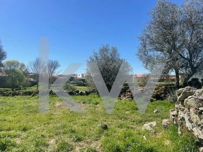 Quinta T5 para Venda em Amoreira, Parada e Cabreira Foto 4