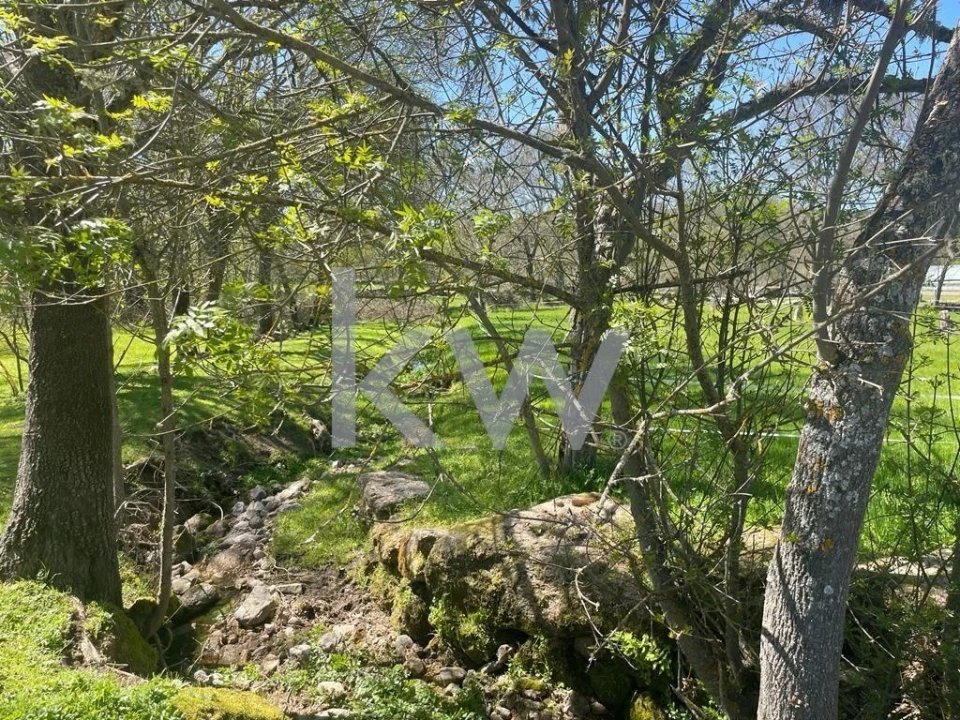 Quinta T5 para Venda em Amoreira, Parada e Cabreira Foto 5