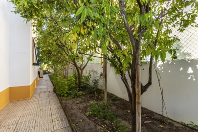 Moradia T4 para Venda em Fernao Ferro