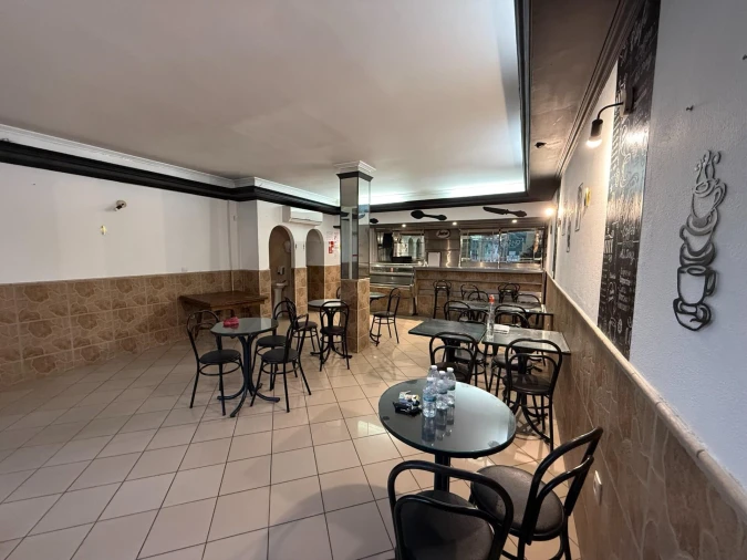 Negócio para Venda em Avelãs de Ambom e Rocamondo Foto 5