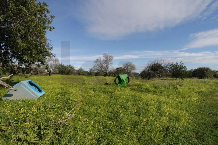 Prédio para Venda em Conceição e Estoi Foto 10
