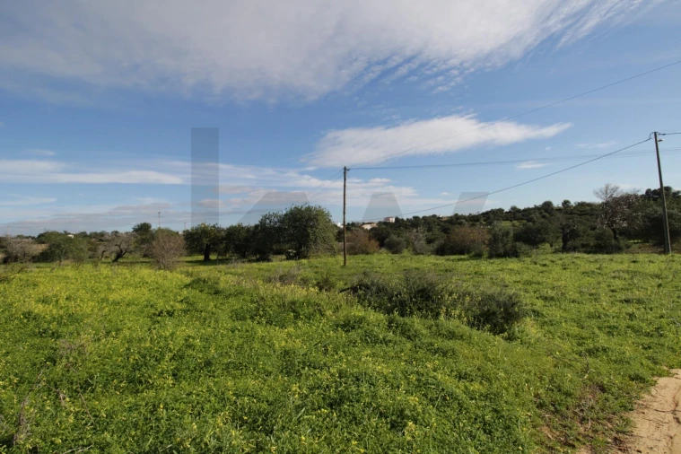 Prédio para Venda em Conceição e Estoi Foto 7
