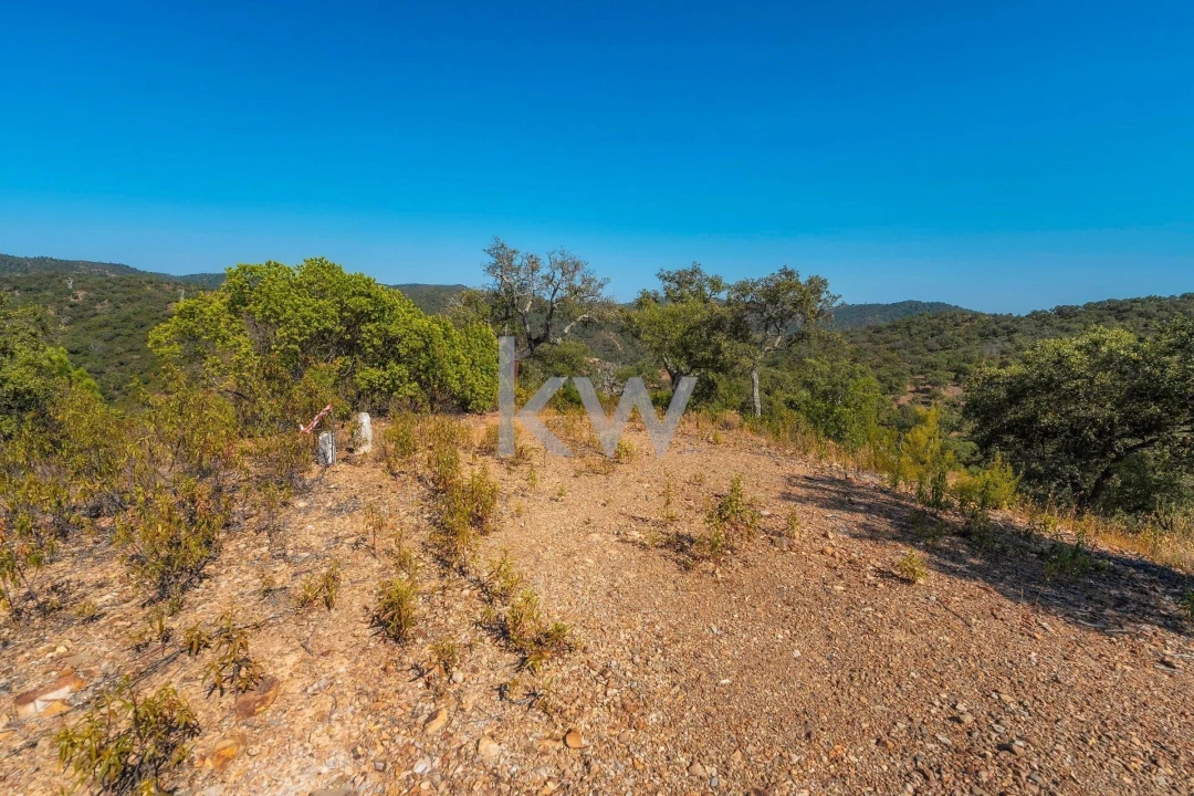 Terreno para Venda em Querença, Tôr e Benafim Foto 17