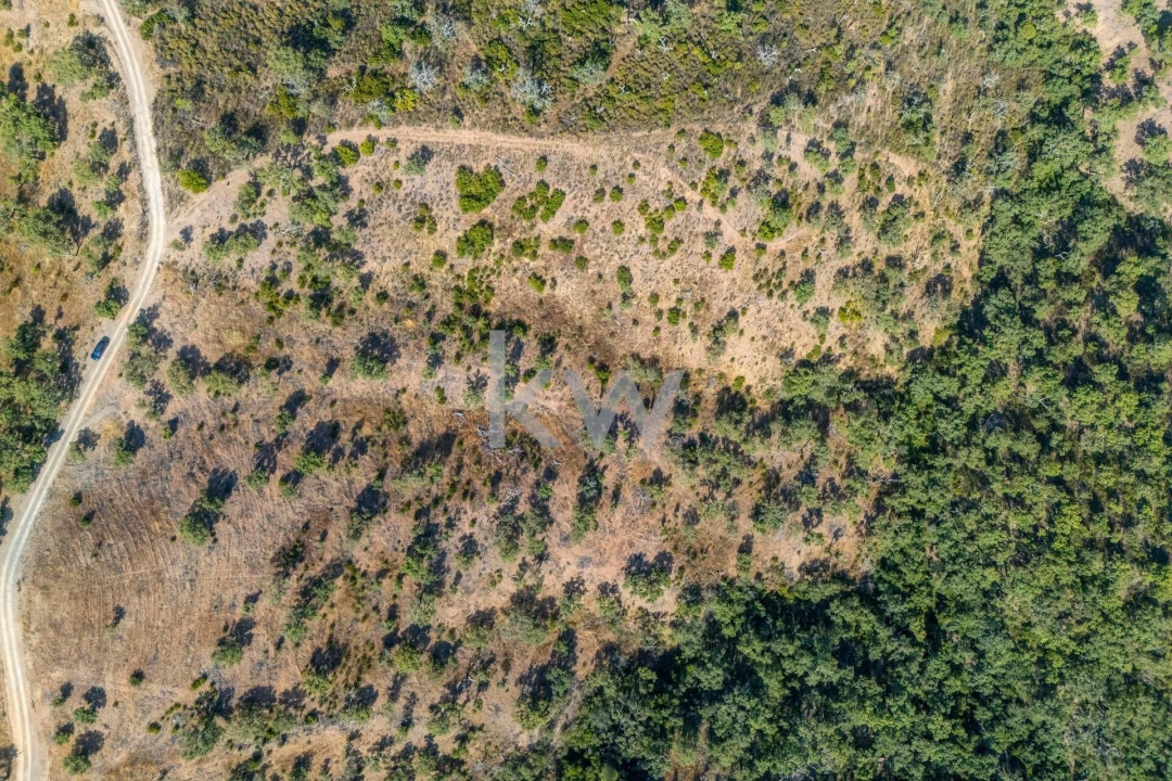 Terreno para Venda em Querença, Tôr e Benafim Foto 2