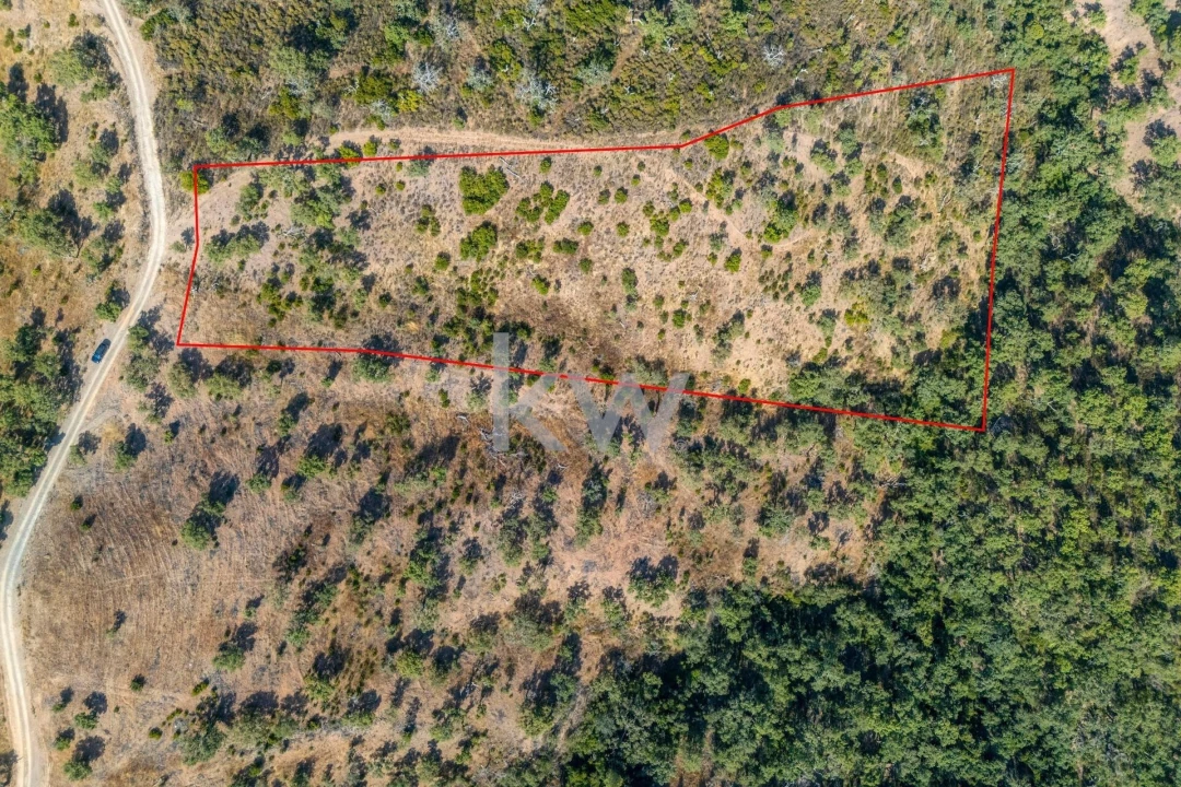 Terreno para Venda em Querença, Tôr e Benafim Foto 1