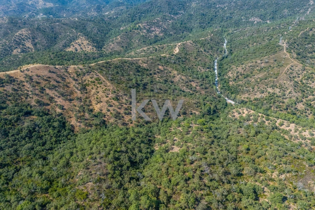 Terreno para Venda em Querença, Tôr e Benafim Foto 5