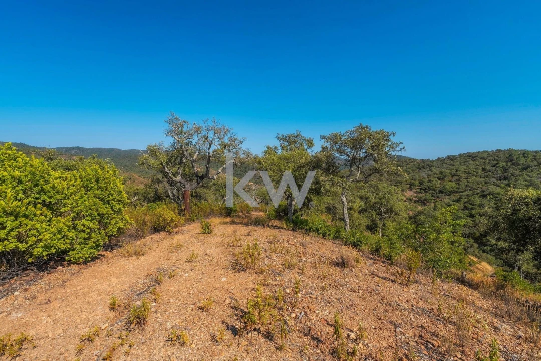 Terreno para Venda em Querença, Tôr e Benafim Foto 20