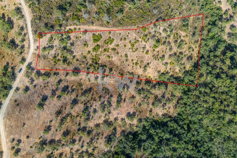 Terreno para Venda em Querença, Tôr e Benafim Foto 2