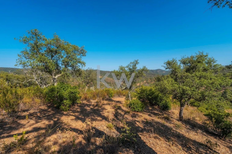 Terreno para Venda em Querença, Tôr e Benafim Foto 27