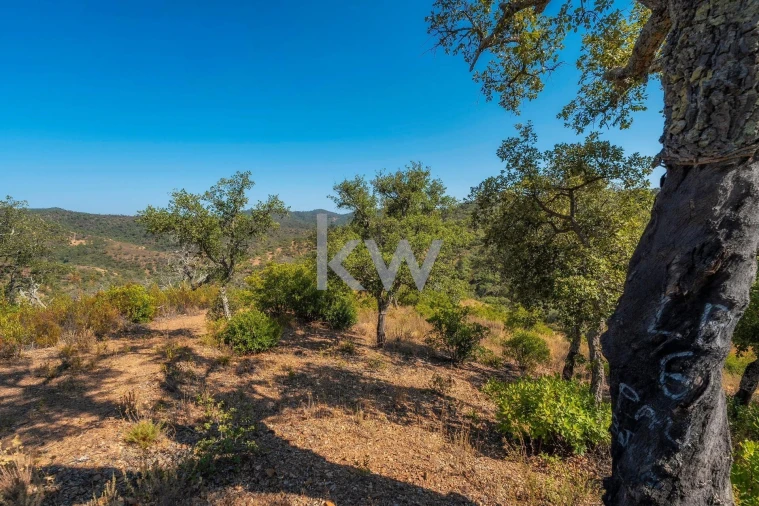 Terreno para Venda em Querença, Tôr e Benafim Foto 26