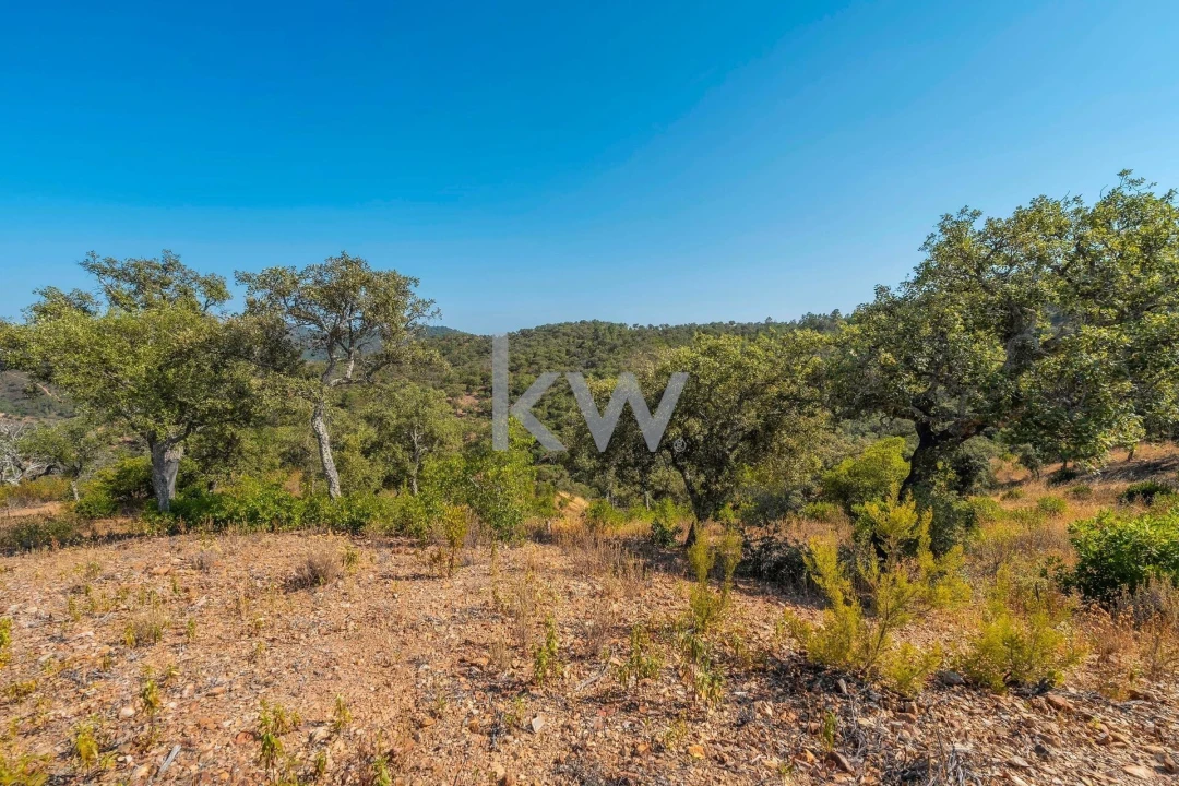 Terreno para Venda em Querença, Tôr e Benafim Foto 19