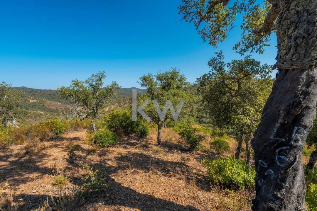 Terreno para Venda em Querença, Tôr e Benafim Foto 26