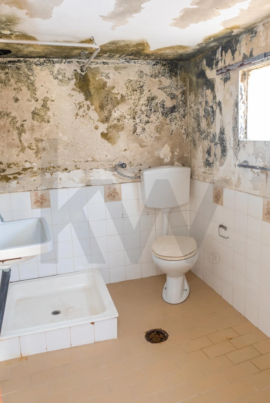 Moradia T5 para Venda em Lamas e Cercal Foto 27