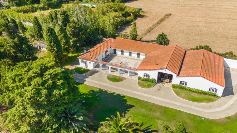 Quinta T4 para Venda em Carcavelos e Parede Foto 28