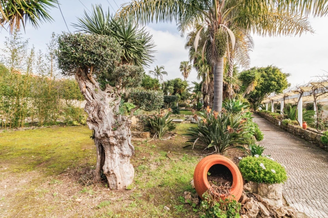 Moradia T4 para Venda em Santo Antão e São Julião do Tojal Foto 39