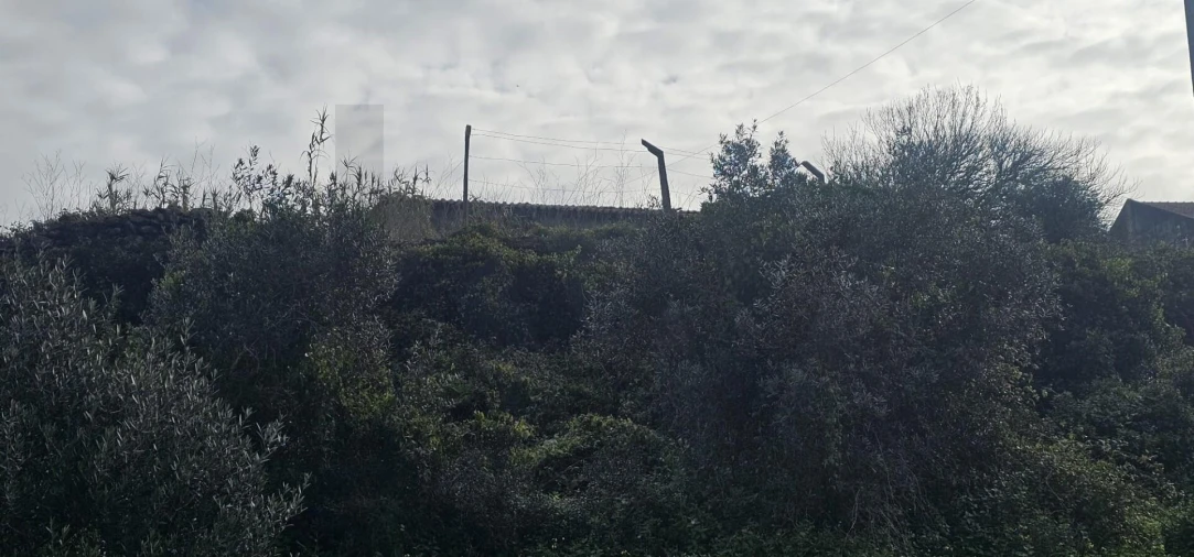 Moradia T4 para Venda em Agualva e Mira-Sintra Foto 18