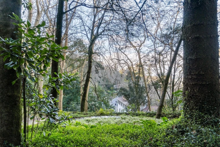 Moradia T7 para Venda em São João das Lampas e Terrugem Foto 49