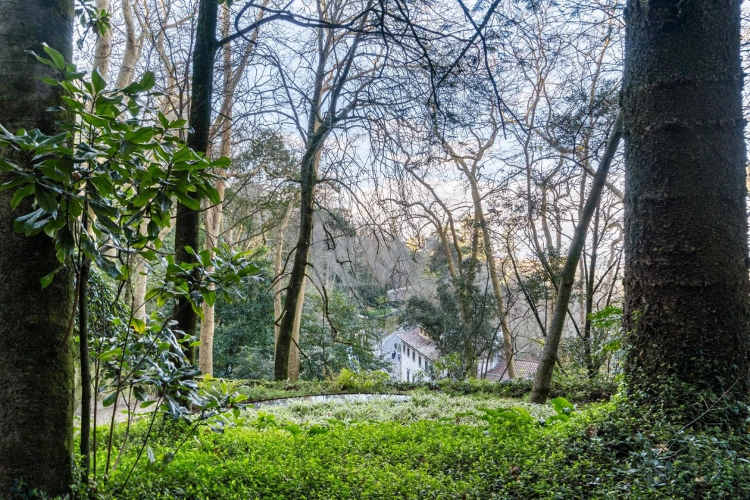 Moradia T7 para Venda em São João das Lampas e Terrugem Foto 49
