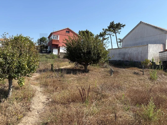 Moradia T2 para Venda em Santa Maria e São Miguel, São Martinho, São Pedro Penaferrim Foto 36