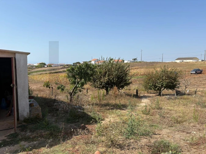 Moradia T2 para Venda em Santa Maria e São Miguel, São Martinho, São Pedro Penaferrim Foto 19