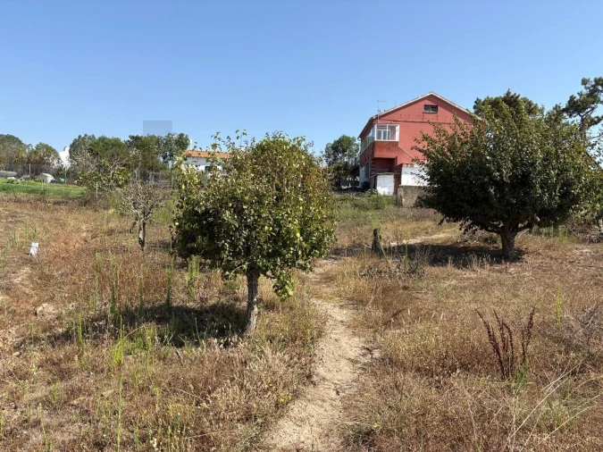 Moradia T2 para Venda em Santa Maria e São Miguel, São Martinho, São Pedro Penaferrim Foto 20
