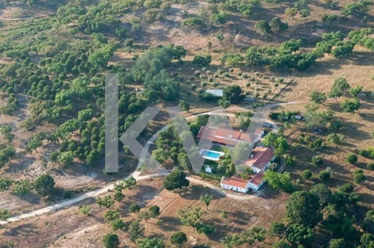 Quinta T16 para Venda em Montargil Foto 1