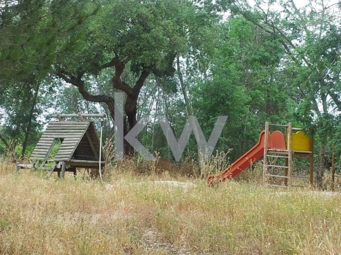 Quinta T16 para Venda em Montargil Foto 18