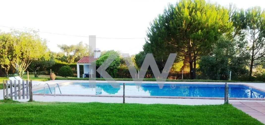 Quinta T16 para Venda em Montargil Foto 6