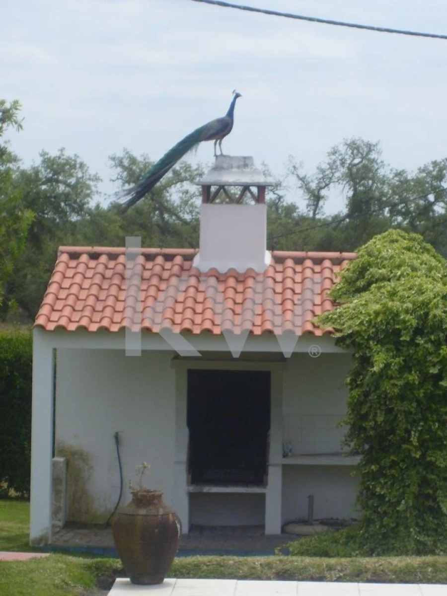 Quinta T16 para Venda em Montargil Foto 7