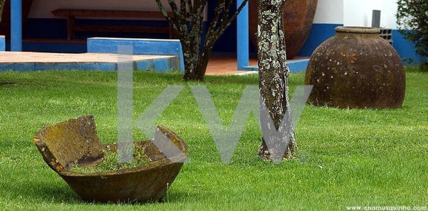 Quinta T16 para Venda em Montargil Foto 11