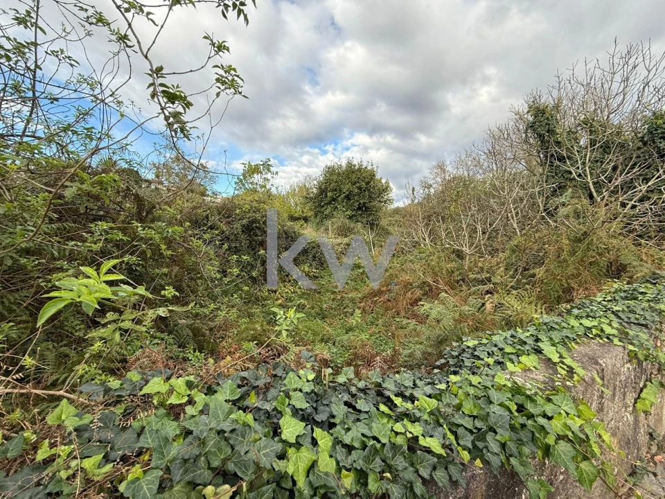 Terreno para Venda em Campanhã Foto 2