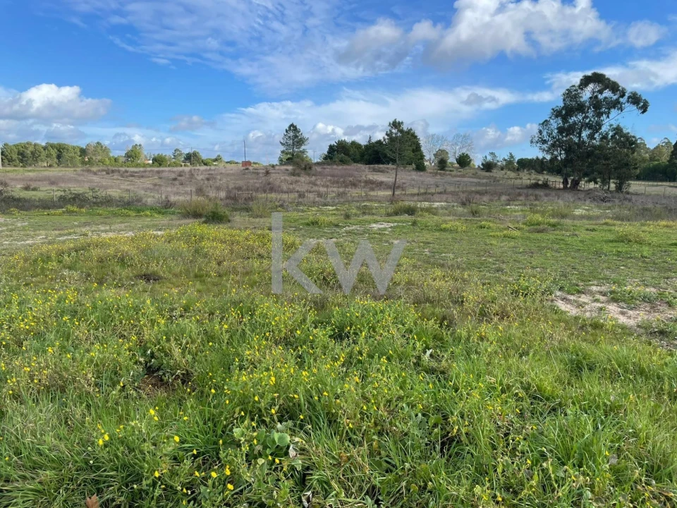 Terreno para Venda em Santo Estêvão Foto 8