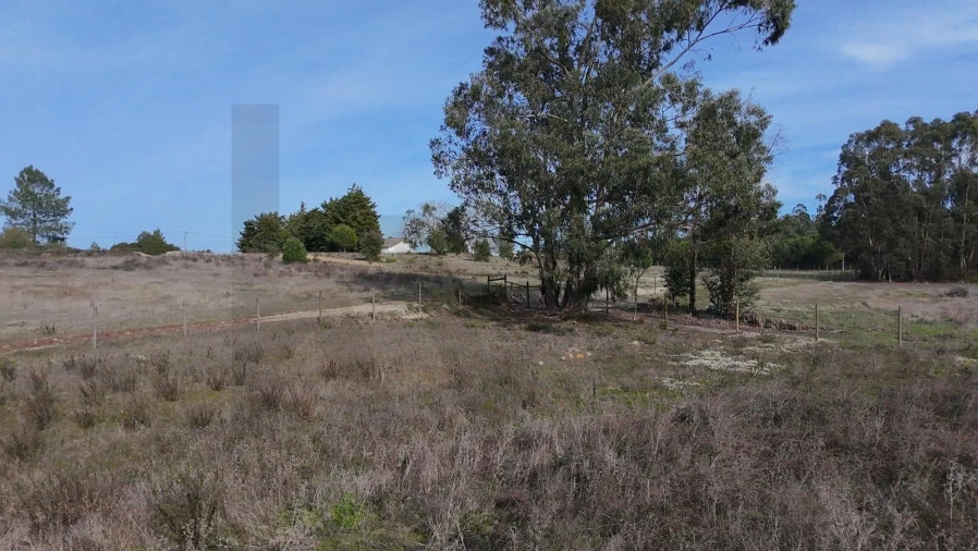 Terreno para Venda em Santo Estêvão Foto 15
