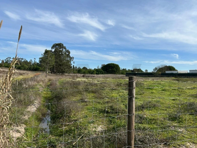 Terreno para Venda em Santo Estêvão Foto 9