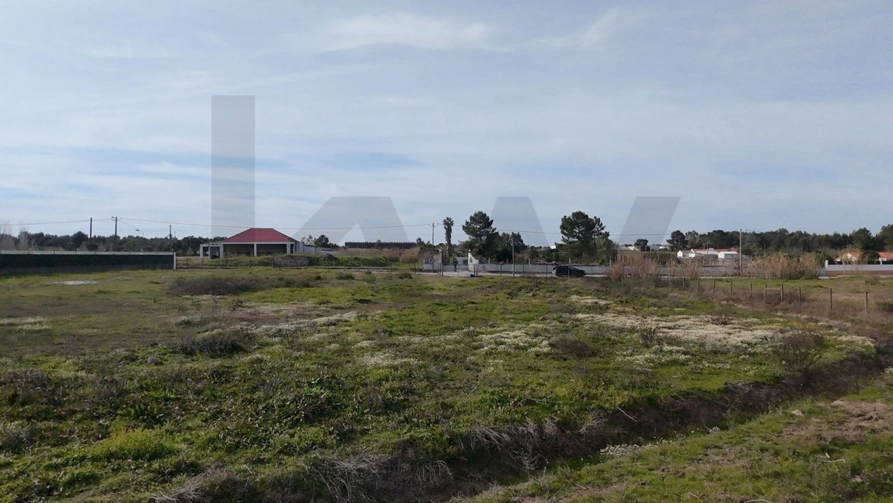 Terreno para Venda em Santo Estêvão Foto 16