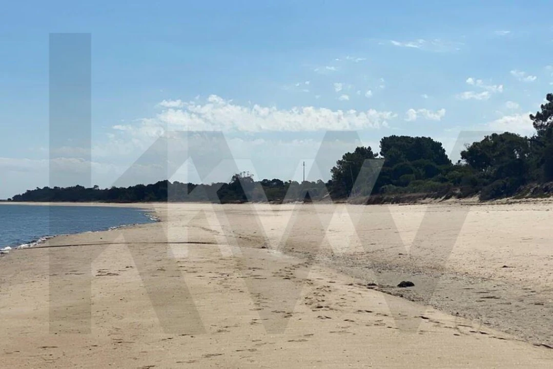 Moradia T5 para Venda em Carvalhal Foto 3