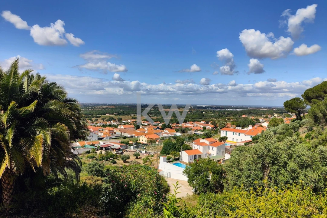 Quinta T5 para Venda em Quinta do Anjo Foto 45