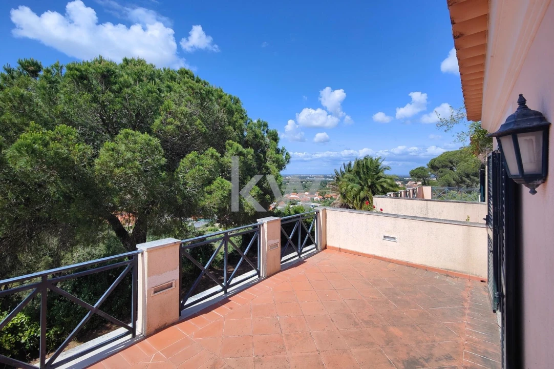 Quinta T5 para Venda em Quinta do Anjo Foto 38