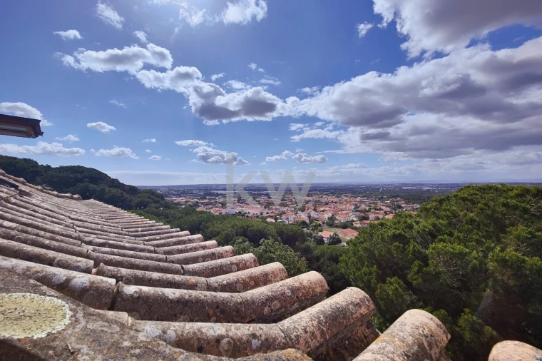 Quinta T5 para Venda em Quinta do Anjo Foto 40