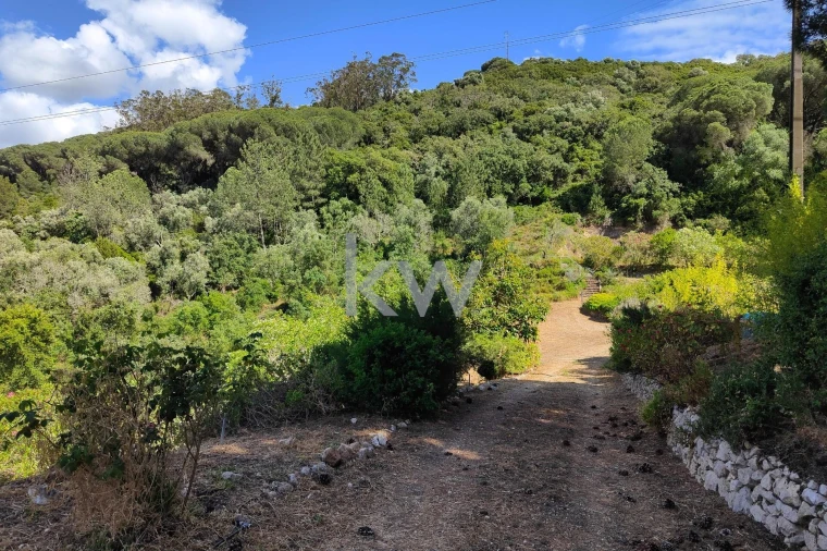 Quinta T5 para Venda em Quinta do Anjo Foto 35